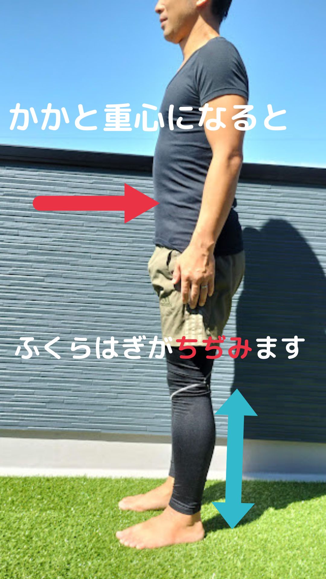 船橋