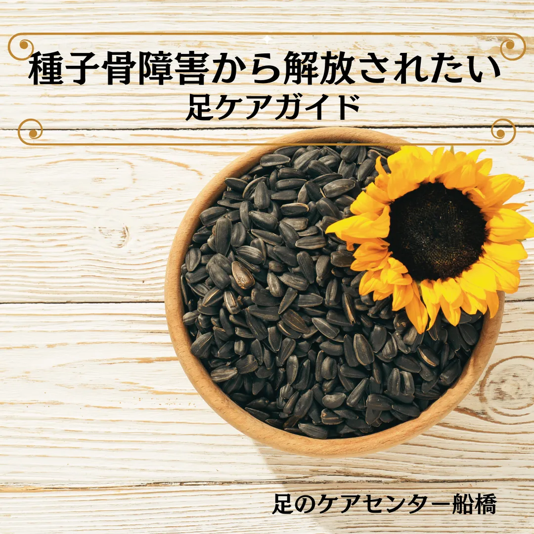 種子骨