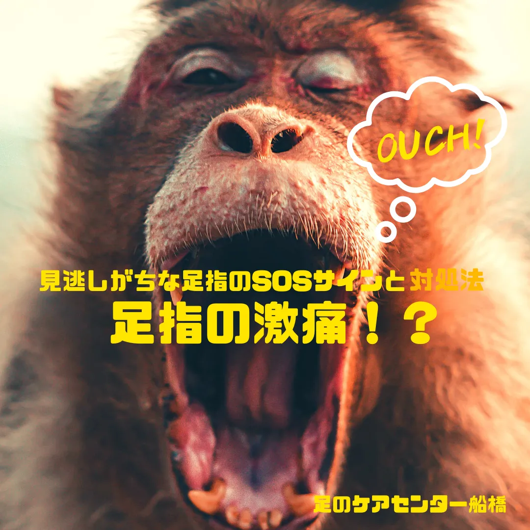 鎌ケ谷