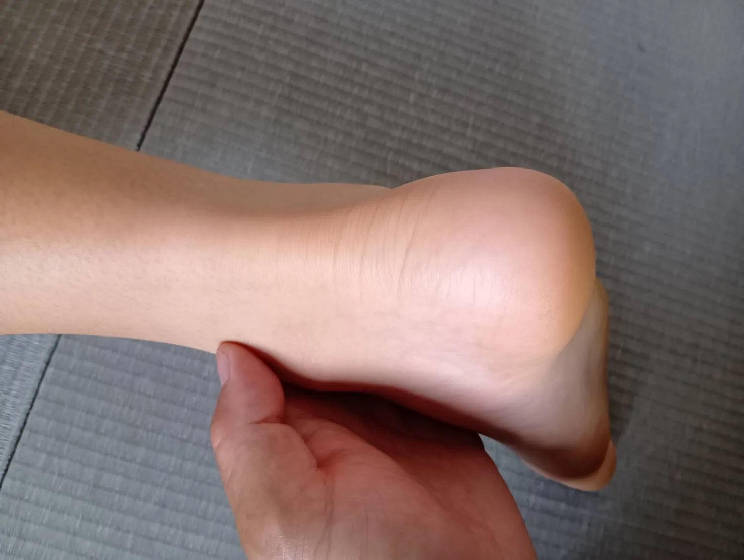 船橋