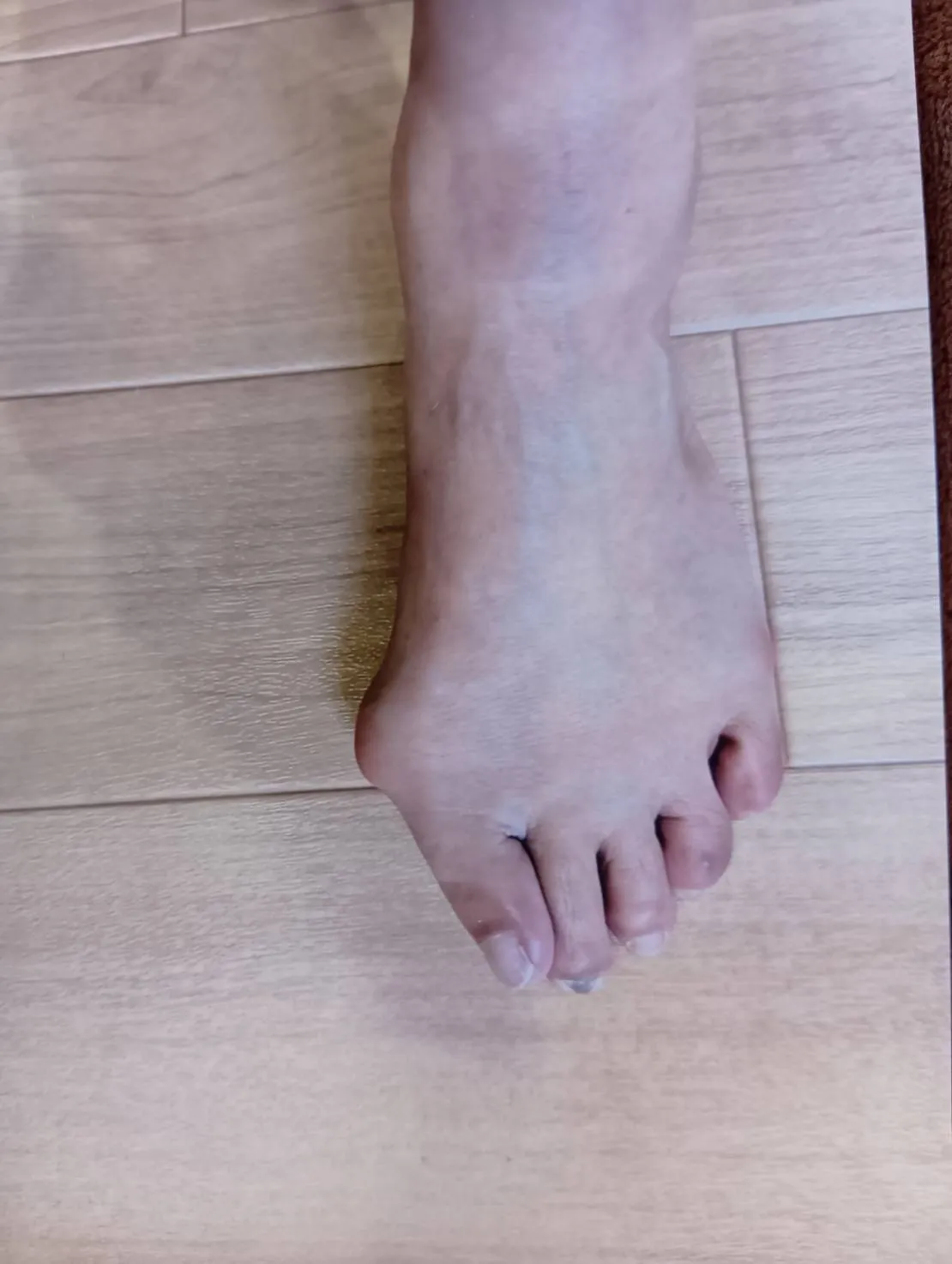 船橋