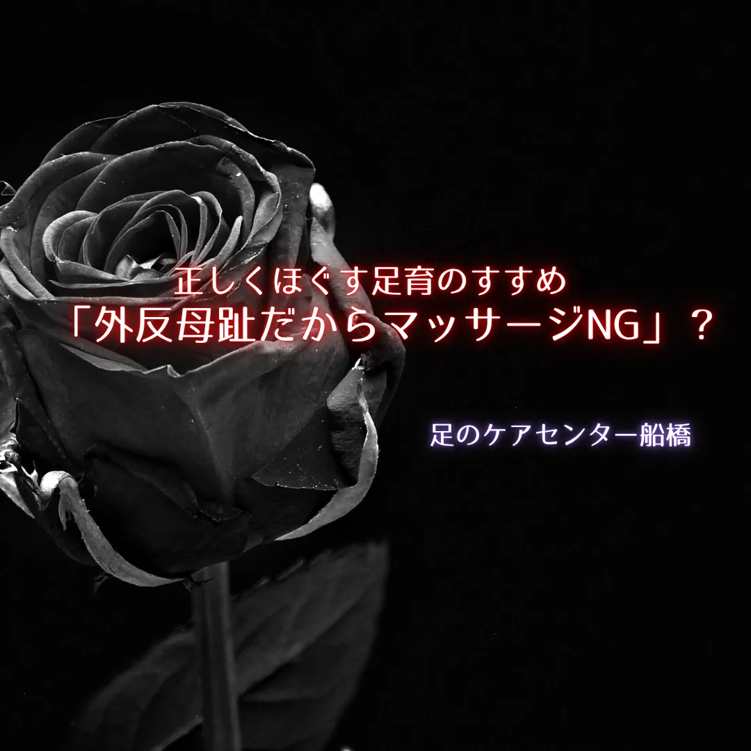 柏