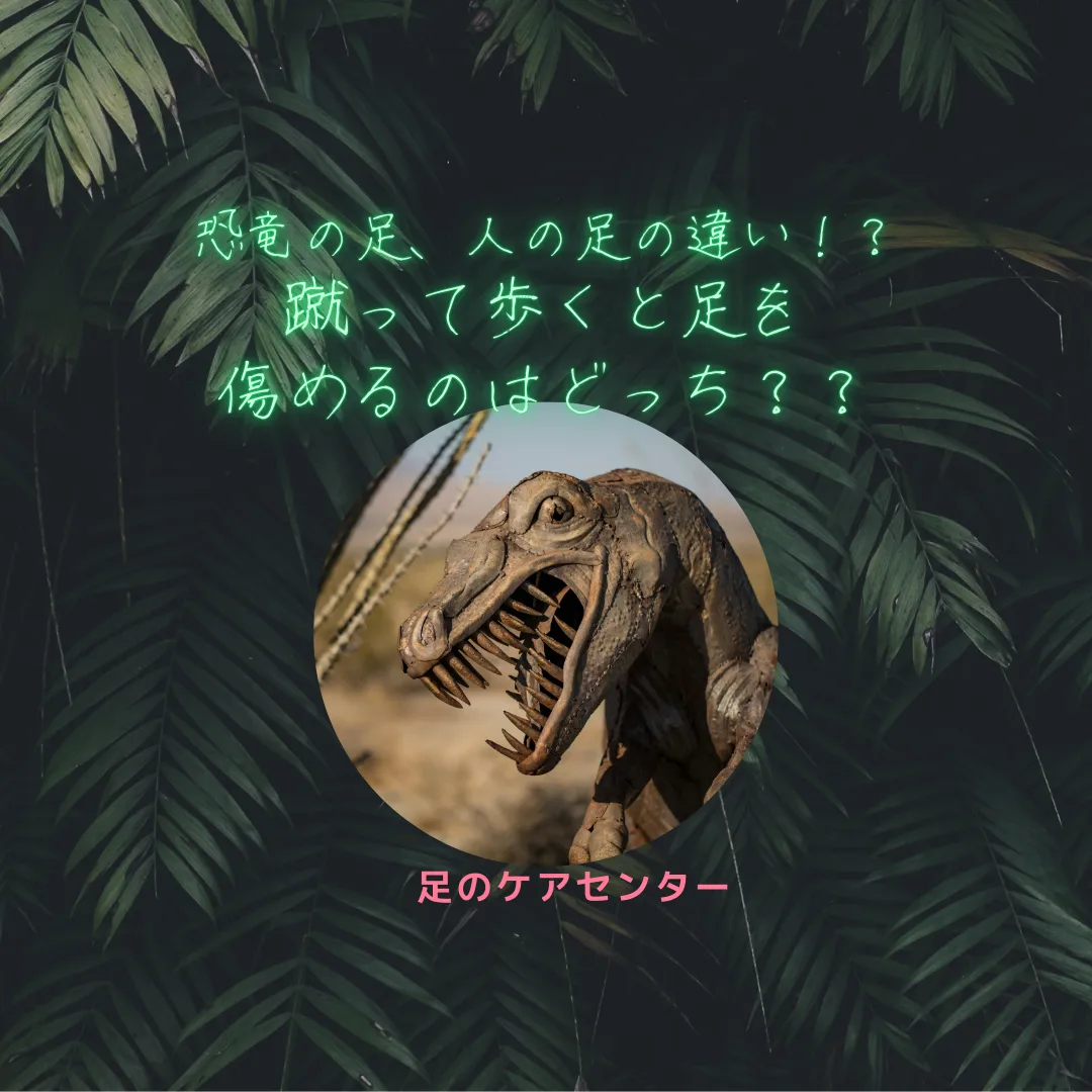 恐竜の足、人の足の違い！？蹴って歩くと足を傷めるのはどっち？？