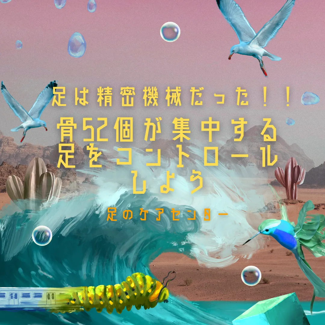 足は精密機械だった!!骨52個が集中する足をコントロールしよう