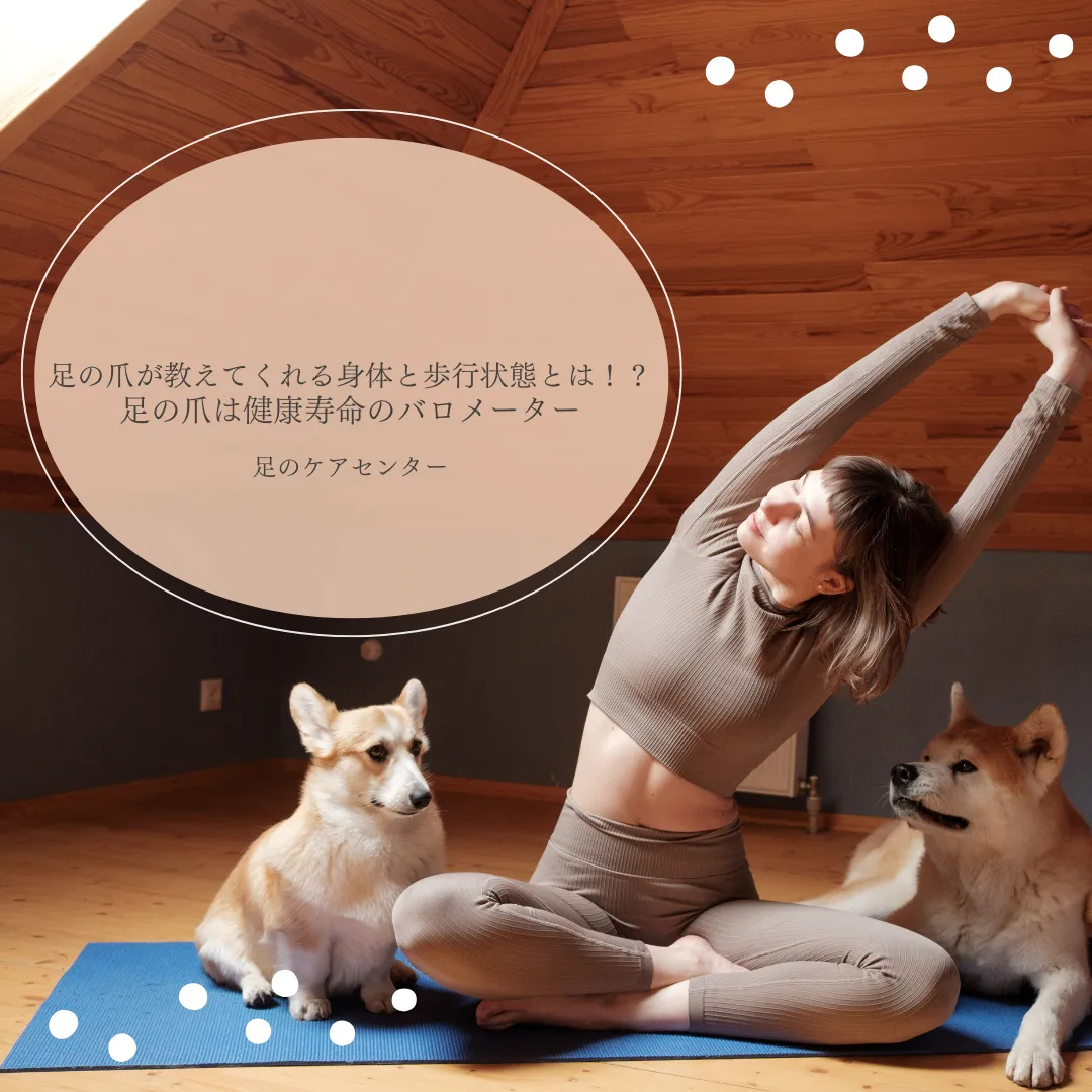 足の爪が教えてくれる身体と歩行状態とは!?足の爪は健康寿命のバロメーター