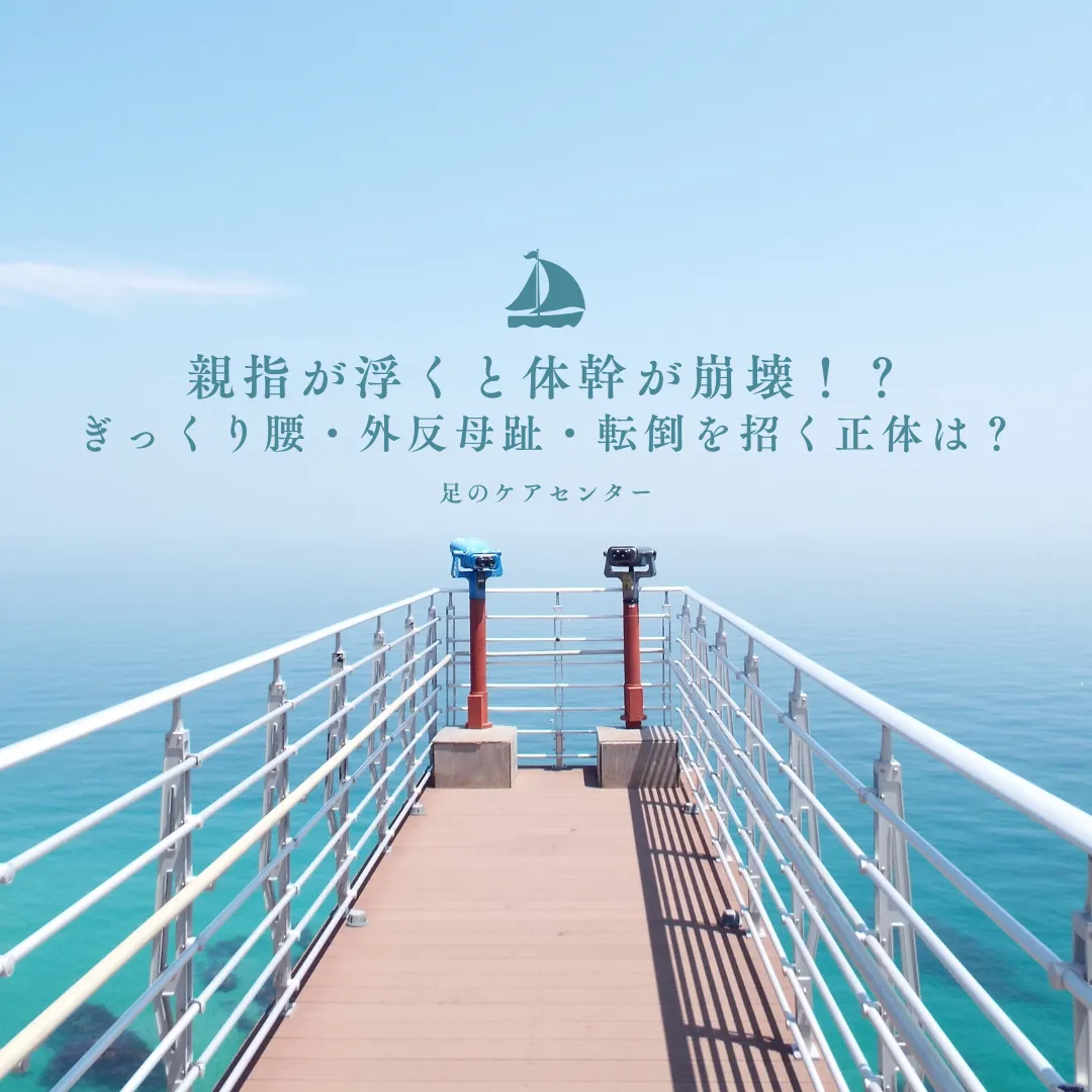 親指が浮くと体幹が崩壊！？ぎっくり腰・外反母趾・転倒を招く正体は？
