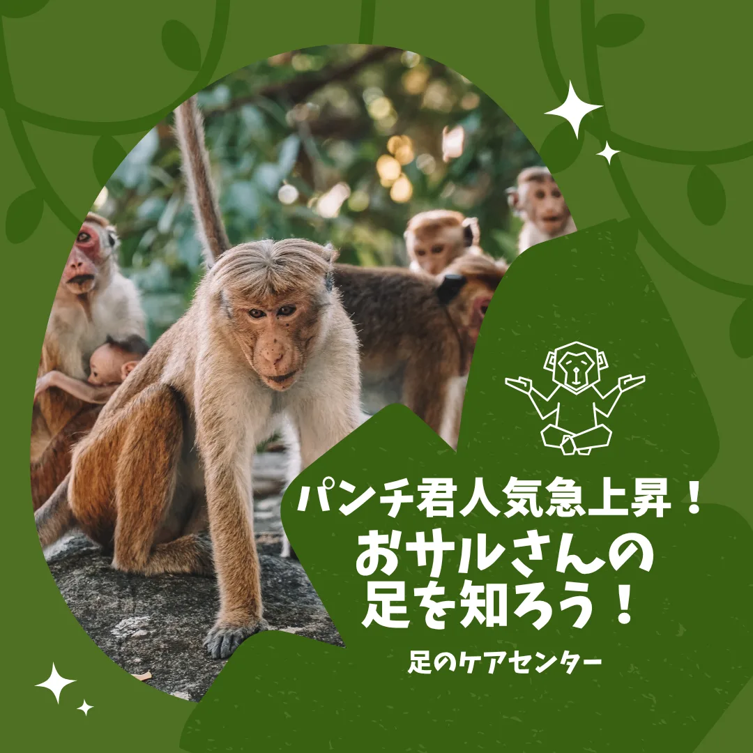 パンチ君人気急上昇！おサルさんの足を知ろう！