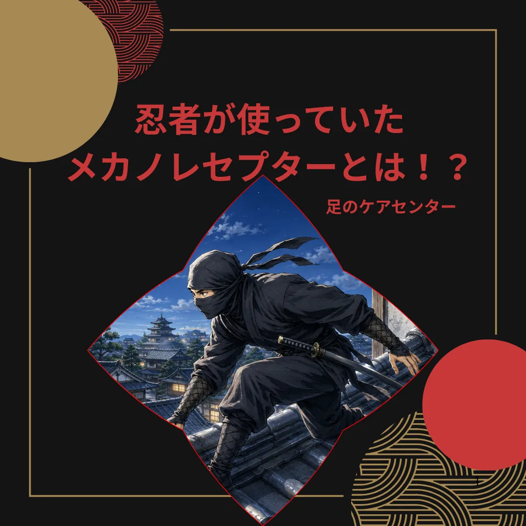 忍者が使っていたメカノレセプターとは！？