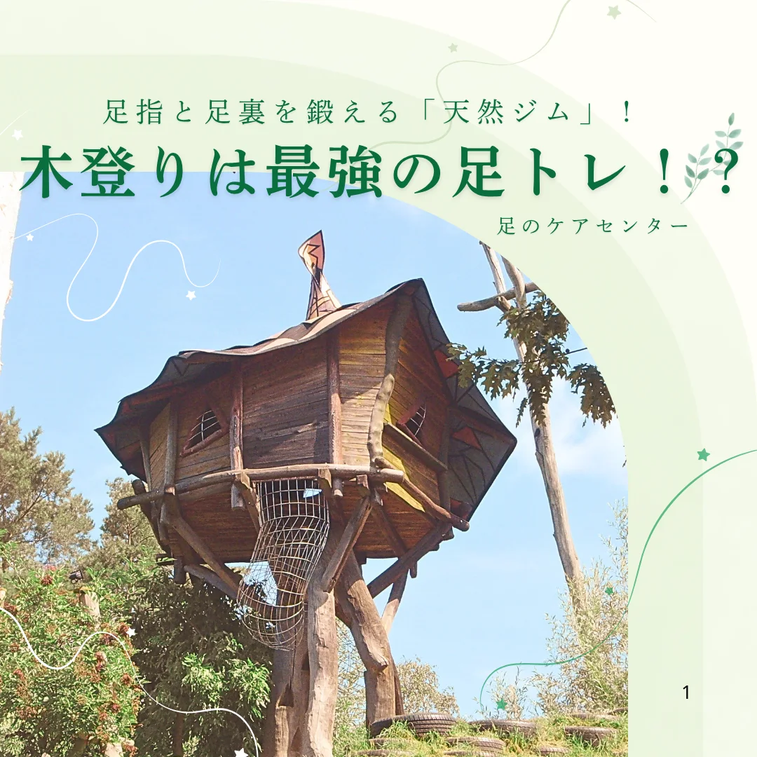 木登りは最強の足トレ！？足指と足裏を鍛える「天然ジム」！！