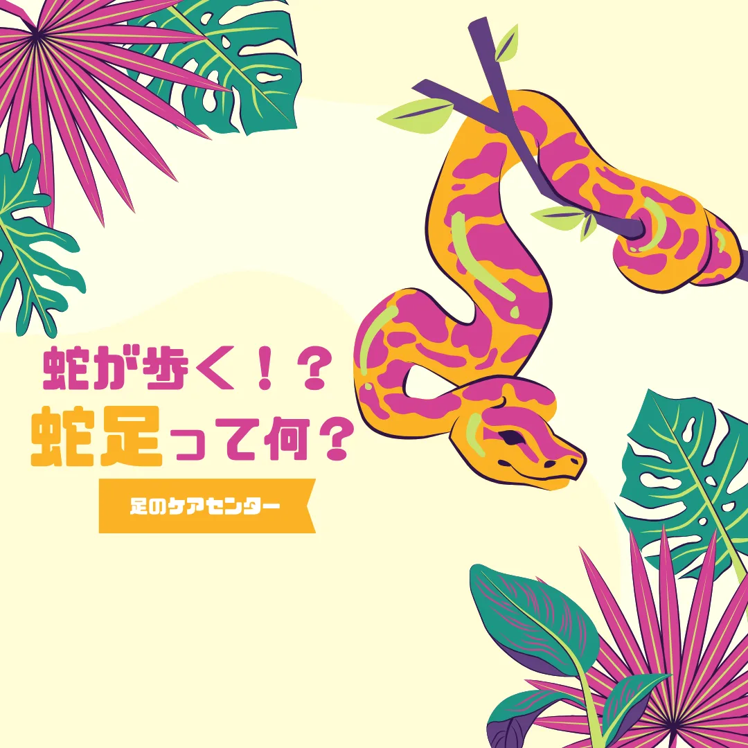 蛇が歩く！？蛇足（だそく）って何？？ 