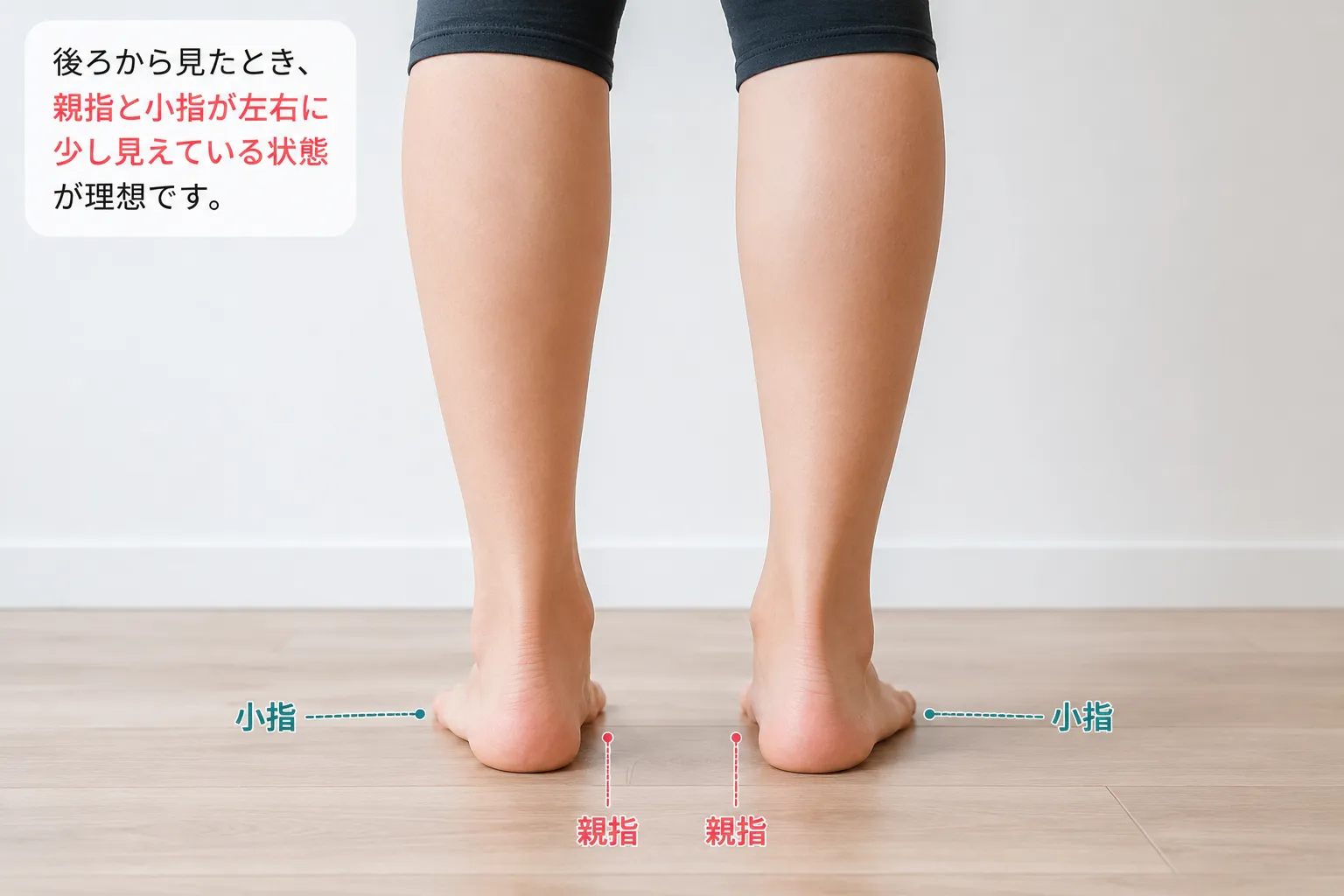 後ろからみた際に、親指と小指が左右に少し見えている状態