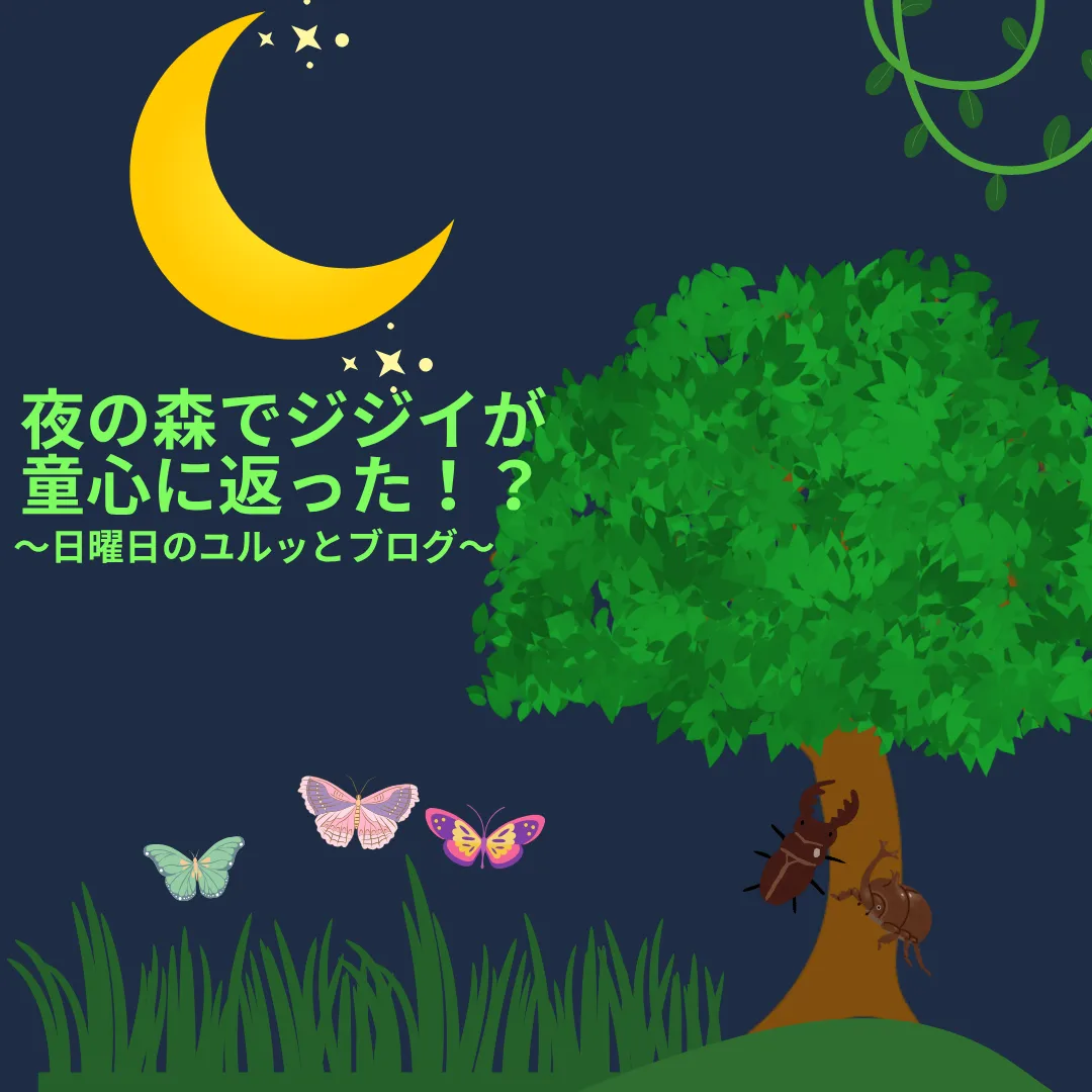  夜の森でジジイが童心に返った！？～日曜日のユルッとブログ～